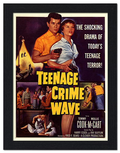 Teenage Crime Wave