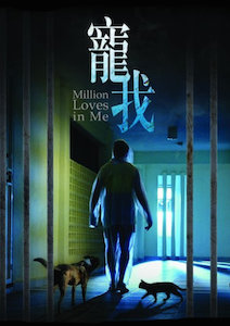 Millions Loves In Me poster
